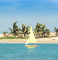 Business Class Airfare to UAE