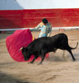 Discount First Class Fare to Argentina