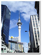 The Sky Tower by stevecadman