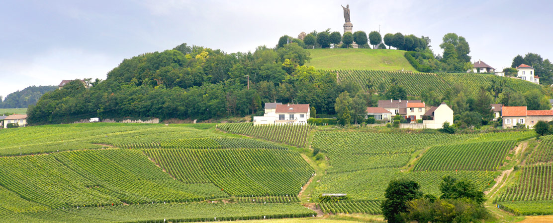 Champagne-Ardenne, France, Fare Buzz