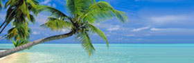 Hawaii cheap airfares, cheap flight tickets, cheap plane, cheap plane tickets, cheap ticket air line