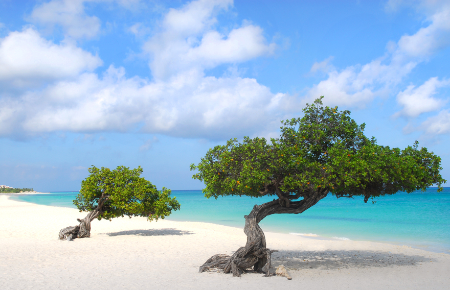 Cheap Flights to Aruba (AUA) Fare Buzz