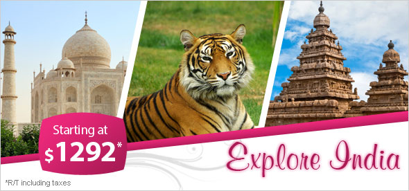 India, international airlines, airline discount, business flights airfares, best airfares