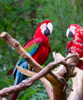 Discovering best natural attractions in Costa Rica