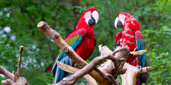Discovering best natural attractions in Costa Rica
