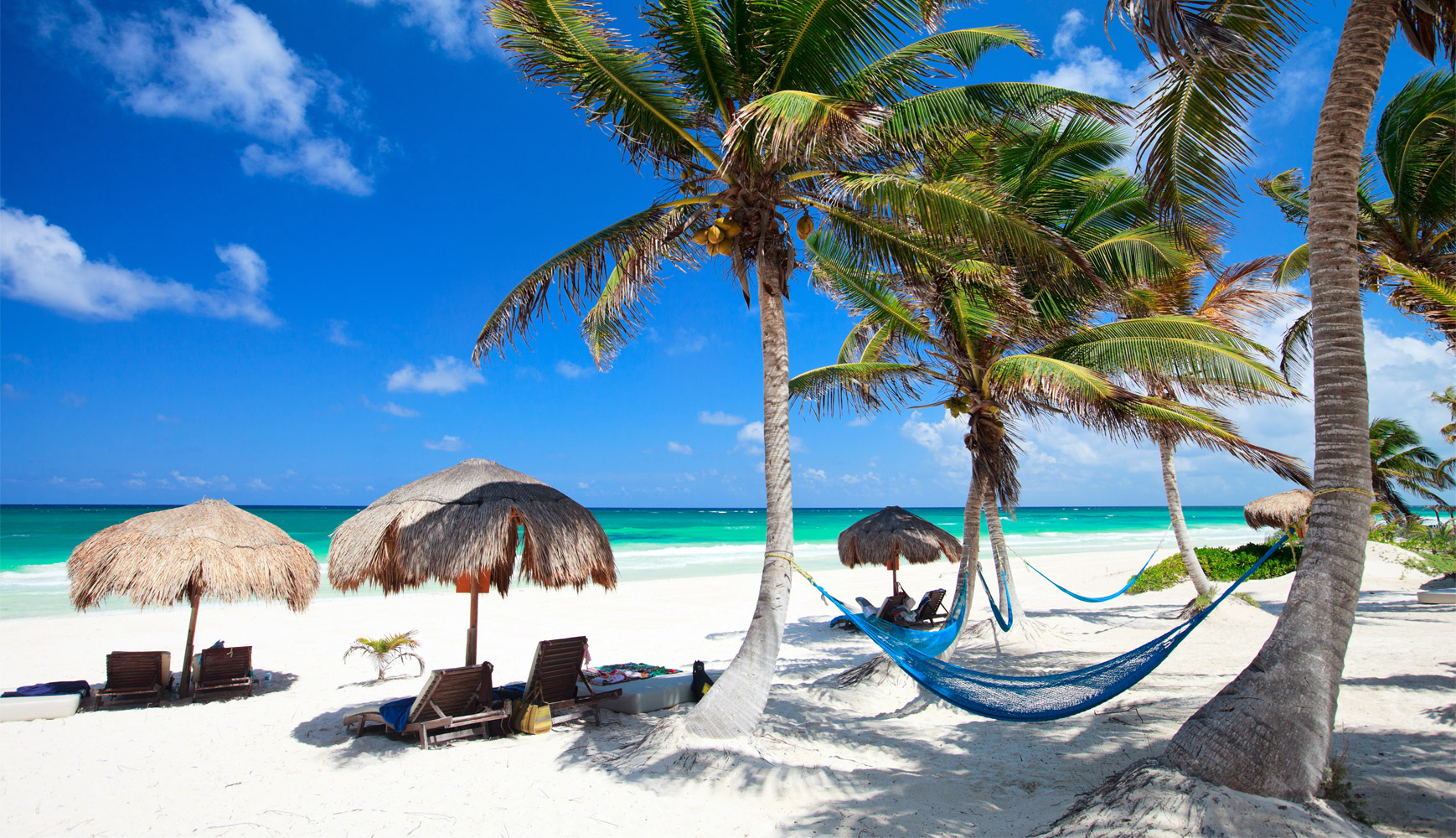 The 5 best things to do in Jamaica Born Free Fare Buzz Blog