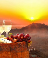 The Best Wine Festivals for Wine Lovers