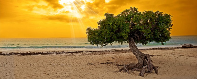 The top 4 things to do in Aruba
