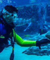 Discovering the world’s best underwater sites