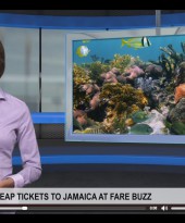 Get Cheap Tickets to Jamaica at Fare Buzz [Video]