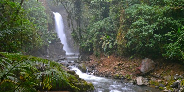Costa Rica is a great destination for American tourists