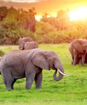 How to have the adventure of a lifetime in Kenya
