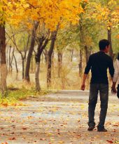 The best places in America to see the fall colors