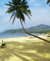 Next year, find yourself in Goa