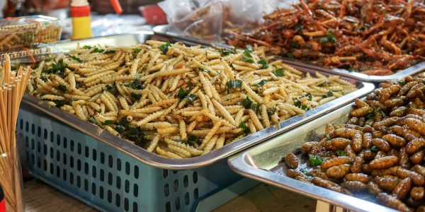 Relish the vivacious and scrumptious street foods of Bangkok