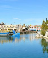 Best Theme Parks in Orlando