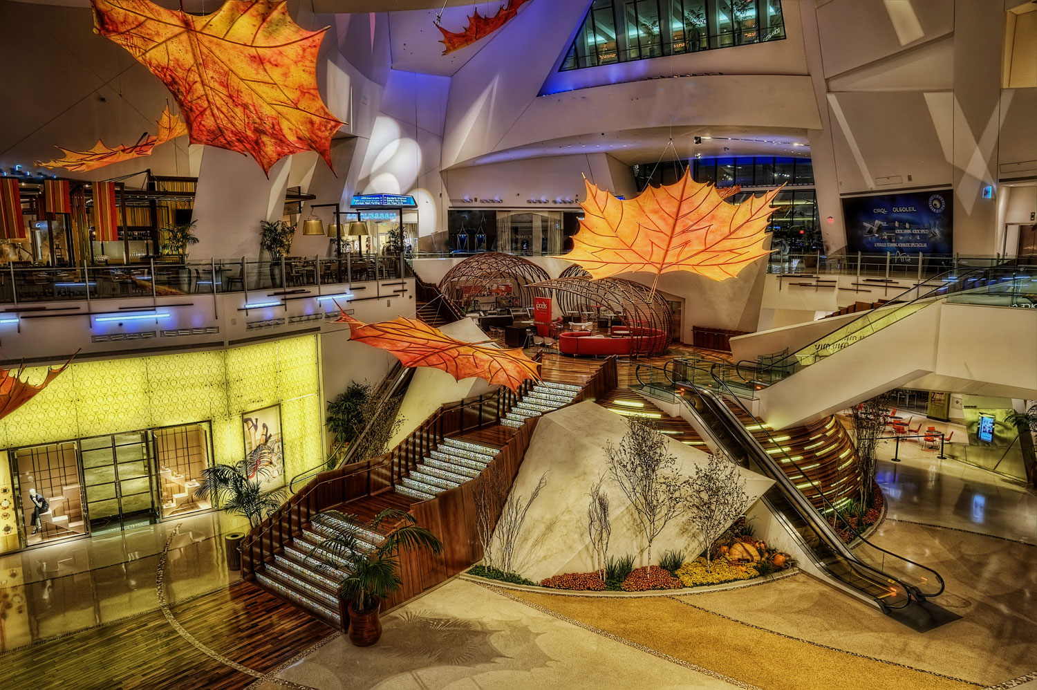 What to Expect on Your First Trip to Las Vegas Born Free Fare Buzz Blog