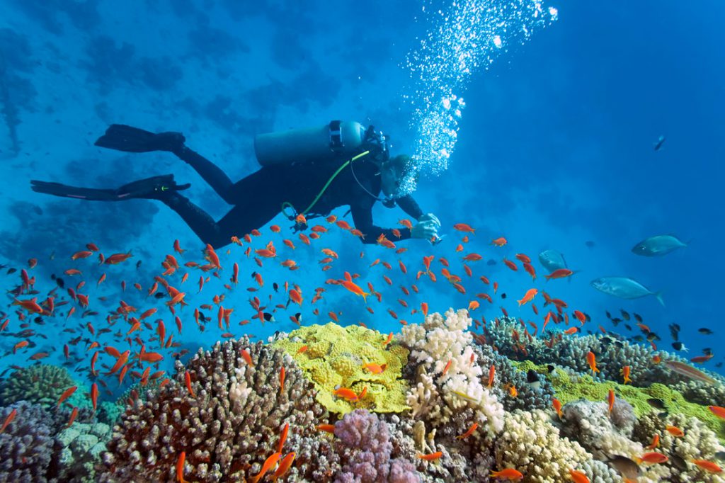 scuba-diving