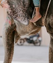 Enjoy a winter escape to sunny Goa