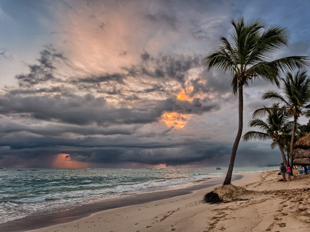 palm_tree_punta_cana_beach_farebuzz