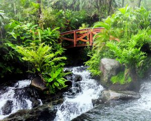 tabacon