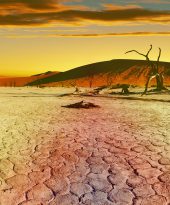 Holiday like Royalty in Namibia