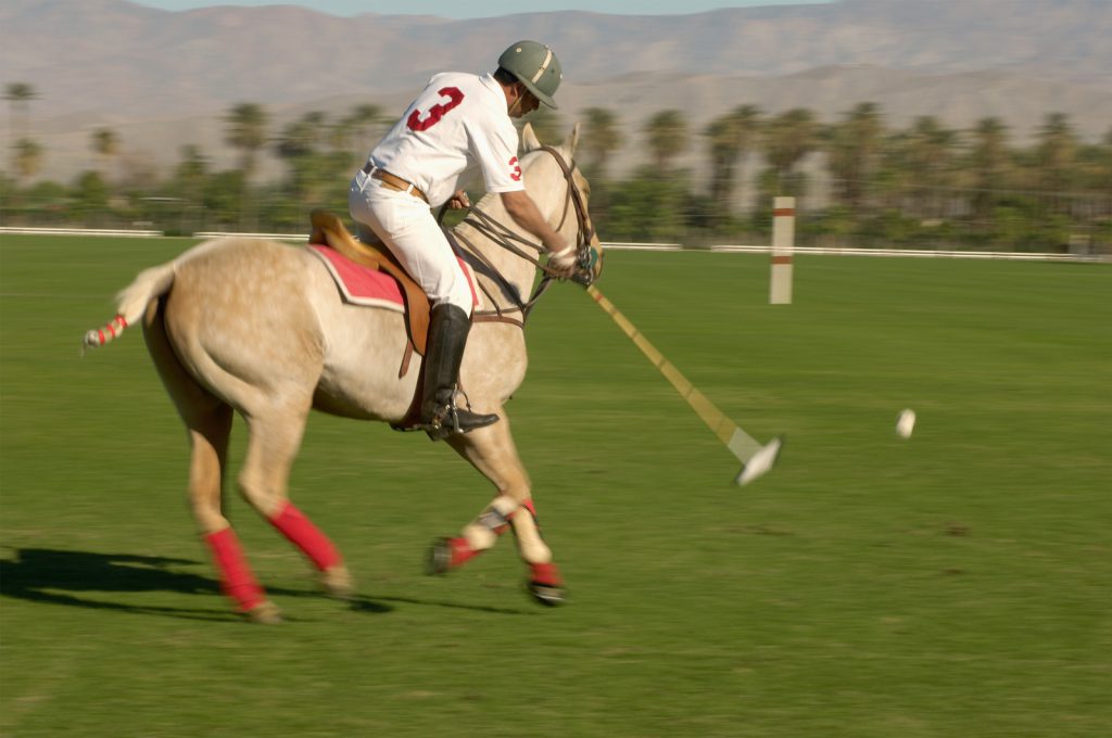 Polo Player Advancing Ball Fare Buzz