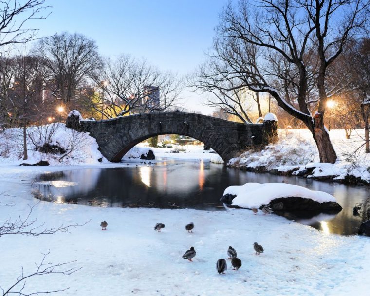 NYC_Christmas_central_park_FareBuzz