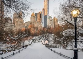 Spend a Magical Christmas Season in New York City