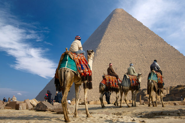 Cairo Fare Buzz
