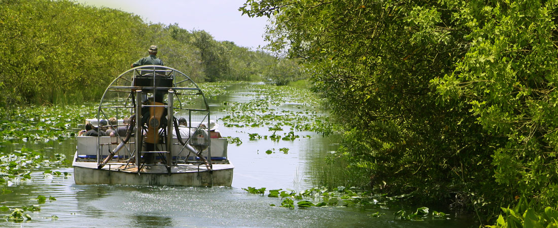 Everglades in Fort Lauderdale