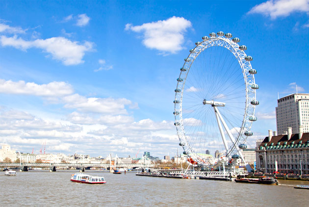 largest observation 
wheel