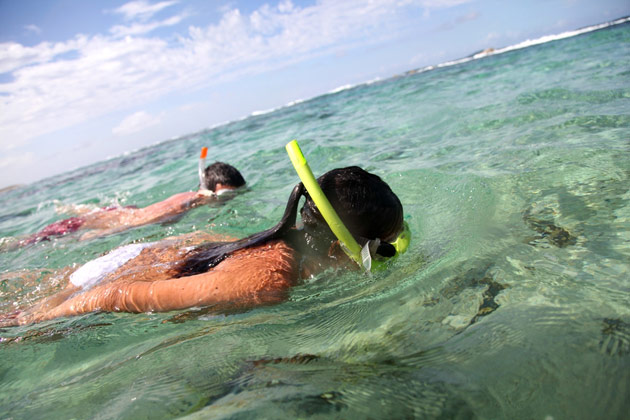 snorkeling Fare Buzz