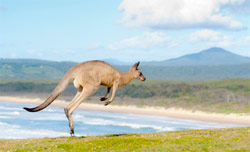 cheap airfares to Australia